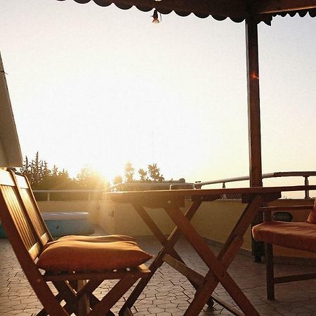 Friends Terrace Διαμέρισμα Τίρανα Εξωτερικό φωτογραφία